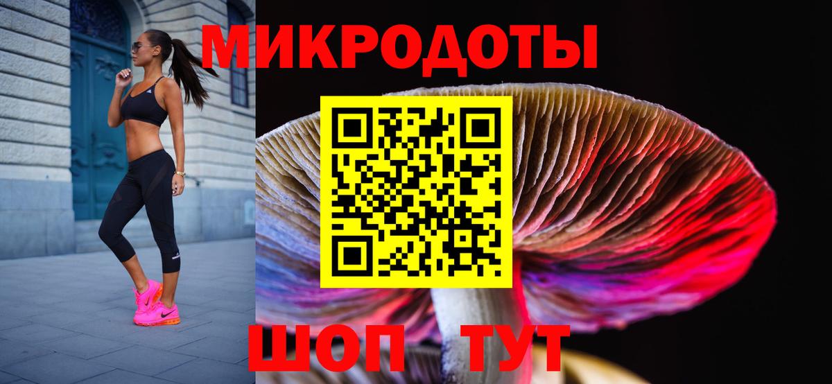 Псилоцибиновые грибы Cubensis Советская Гавань